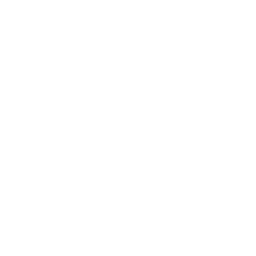 TikTok Icon